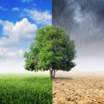 11تاثیرات آب و هوا در کشاورزی